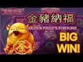 NEW SLOT! MAJOR BIG WIN! GOLDEN PIGGY'S FORTUNE & GOLD ...