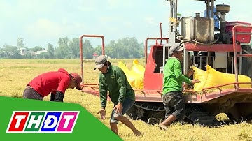 Đồng Tháp: Nông nghiệp - Công thương đồng lòng vượt khó | Tái cơ cấu nông nghiệp - 24/12/2023 | THDT