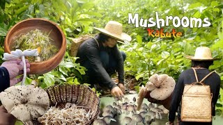 Download Lagu After Heavy Rains and Thunderstorms, Wild Mushrooms Will Grow | mushroom soup to warm the stomach MP3 Download Lagu After Heavy Rains and Thunderstorms, Wild Mushrooms Will Grow | mushroom soup to warm the stomach MP3