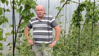 Jesús Álvarez Aldao, productor agrícola en Chamín, Arteixo - parte 1