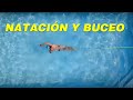 La Natación y el Buceo: ¿El Mejor Entrenamiento Para Buzos?