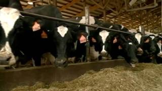 Wisconsin dairy farmers focus of new plan