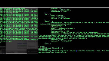 start mongo db and import