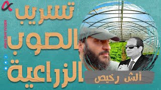 ألش رخيص | تسريب الصوب الزراعية| الموسم الثاني