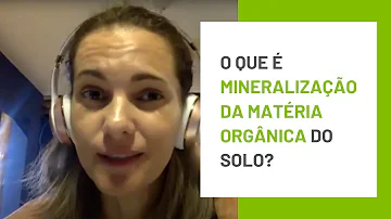 O que é mineralização solo?