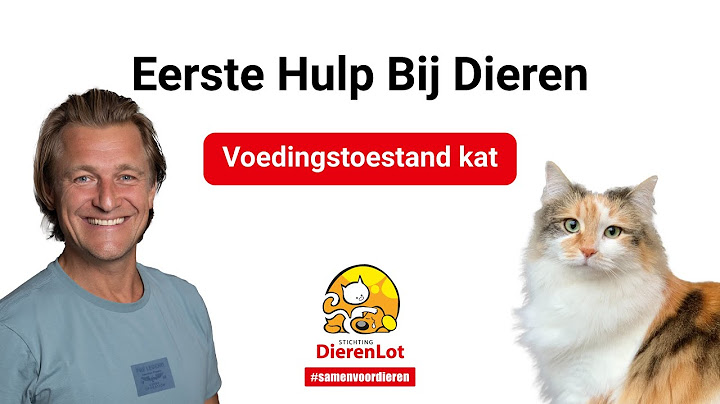 Wanneer heeft je kat overgewicht en hoe erg is het?