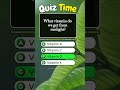 What vitamin do we get from sunlight? #shorts #quiz #trivia