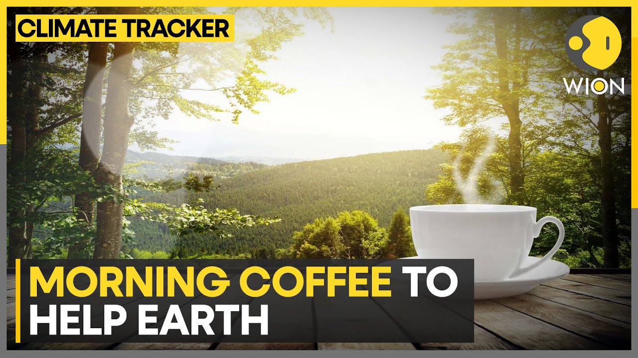 Turning coffee grounds into sustainable concrete | WION Climate Tracker ...