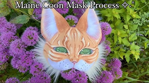 Therian Maine Coon Cat Mask Process~! ⋆˙⟡