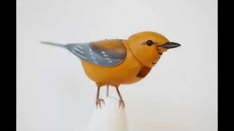 Singing Bird on Wall Automaton