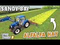 TEDDING THE ALFALFA AND FINISHING THE RYE  | Sandy Bay Farming Simulator 19 - Episode 11