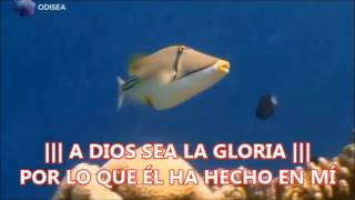 Video thumbnail of "A DIOS SEA LA GLORIA - GLADYS MUÑOZ. CON LETRA"