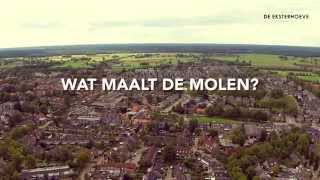 Wat Maalt De Molen?