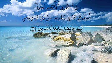 سورة النحل -المنشاوي برواية حفص