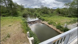 Beaver dam removal next to the bridge.