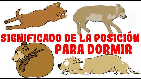 ¿A qué temperatura duermen mejor los perros?