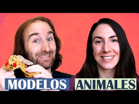🐭Modelos animales en neurociencia 🧠 – Colaboración con Neurocosas
