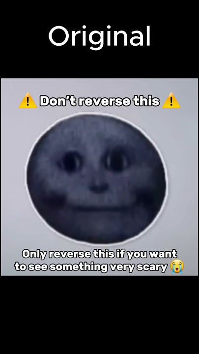 'Don't reverse.' Original vs Reversed #reversed #idkwhattoput #isaididkwhattoput #aaaaaaaaaaaaaa