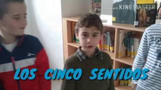 LOS CINCO SENTIDOS
