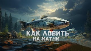 Русская Рыбалка 4.Как Ловить На Матчи?