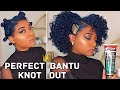 Achieve Defined & Moisturized Bantu Knots | The Mane Choice Do It "FRO" The Culture | Natural Curls