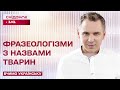 Цікаві фразеологізми з назвами тварин – Вчимо українську