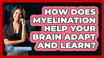 How Does Myelination Help Your Brain Adapt And Learn? - Psychological Clarity