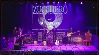 SUGARLIVE ZUCCHERO REAL TRIBUTE - Overdose + Il mare + Ain't mountain + Proud mary