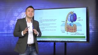 PRIMER B - LEARNING BIOQUIMICA METABOLICA - BIOMOLECULAS PRIMER B - LEARNING BIOQUIMICA METABOLICA - BIOMOLECULAS