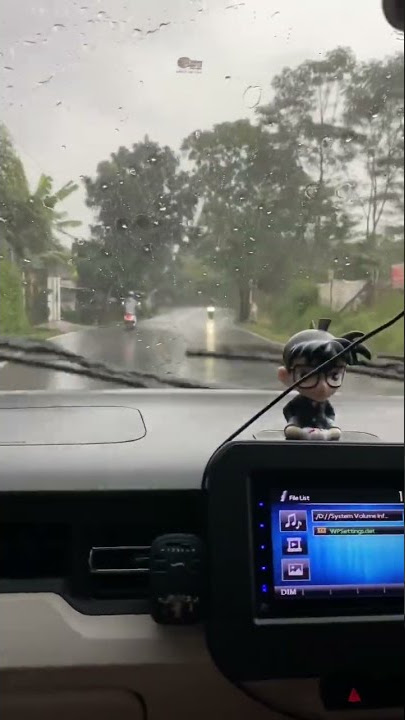 Suzuki Ignis manual is very fuel efficient, feels like a 250cc motorbike