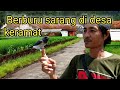 Desa yg banyak sarang burung lokal