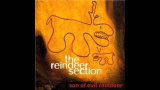 Video thumbnail of "The Reindeer Section - I'll Be Here When You Wake"