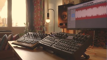 Korg Monologue | Digitakt II | Digitone II - Gravitropic (D&B jam)