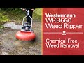 WKB660 Weed Ripper - Removes weeds from Curb Edge, Wall Bottom, Tarmac, Block Paving, and Cobbles