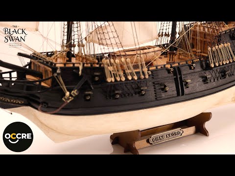How to build the Black Swan model kit