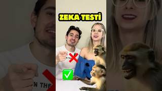 MAYMUNDAN DAHA ZEKİ OLDUĞUMU KANITLAMAYA ÇALIŞIYORUM 🧠 | SEVGİLİME ZEKA TESTİ  😂