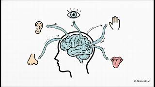 NLP in Hindi | Neuro Linguistic Programming Full Tutorial | Mind Programming Techniques