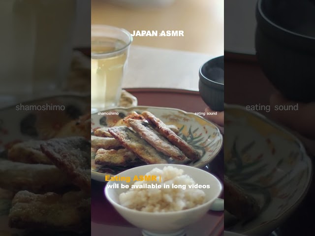 いわしの竜田揚げを揚げて食べる。幸。【MUKBANG/モッパン/咀嚼音】