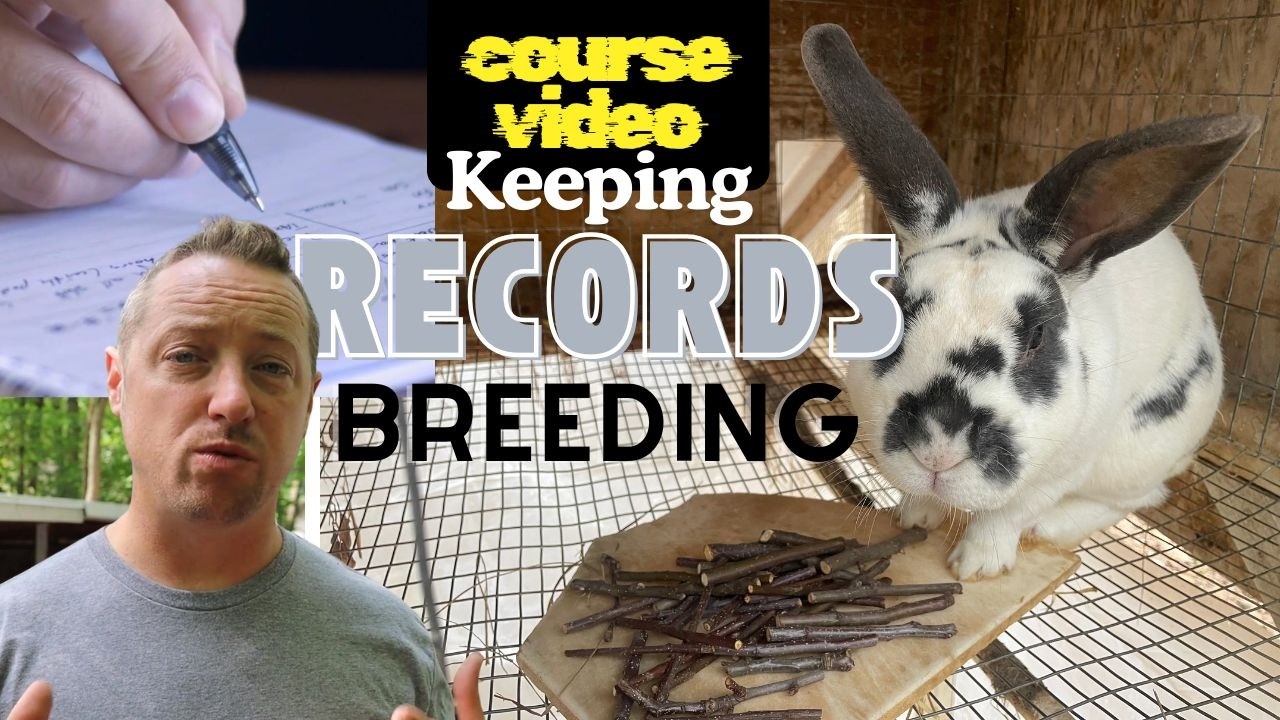 Breeding Success Starts with Record Keeping