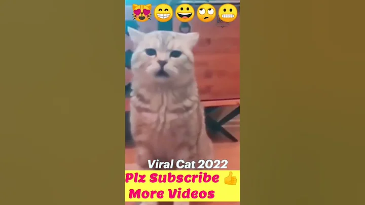 Video 2796651: persian cat meowing cute, persian cat baby meow, cat cartoon persian, persian cat dancing, cutecat meow
