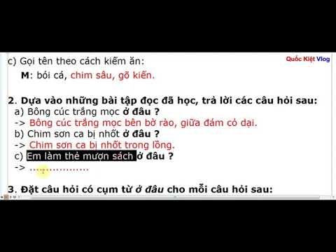 Ngày 23 tháng 3 năm 2020 Luyện từ và câu: Từ ngữ về chim chóc. Đặt và TLCH Ở đâu?