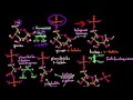 Pasos de la glucólisis | Respiración celular | Biología | Khan Academy en Español