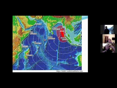 Видео: Каковы краткосрочные и долгосрочные последствия цунами?