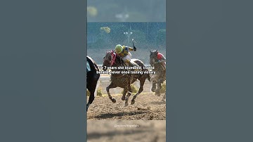 Haru Urara: The Lovable Loser Who Won Hearts. #history