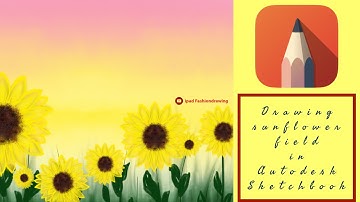 Drawing Sunflower Field In Autodesk Sketchbook App in ipad.. #Stayhome and Draw #Withme #aesthetic