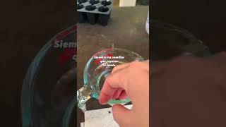 Un Truco Para Que Germinen Tus Semillas.
