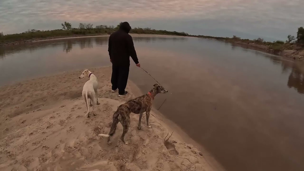 ACAMPANDO EN EL GUALEGUAY