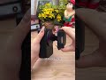 Phone speaker stand