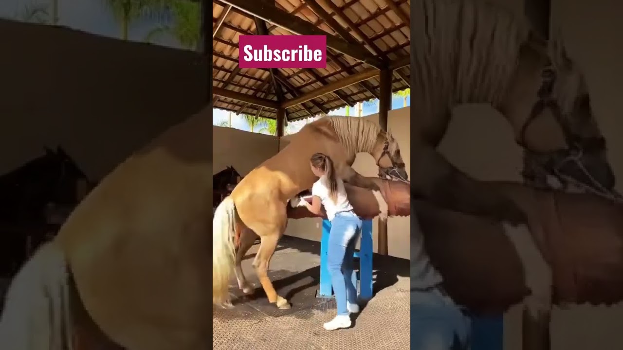 ⁣memes /rahul memes #xxx