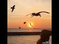 حالات واتس اب حرام همومنا تعذبنه